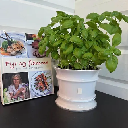 30353-odder-lyngmarksvej-17 * Odder