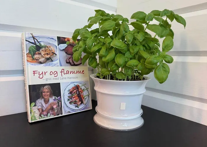 30353-odder-lyngmarksvej-17 * Odder